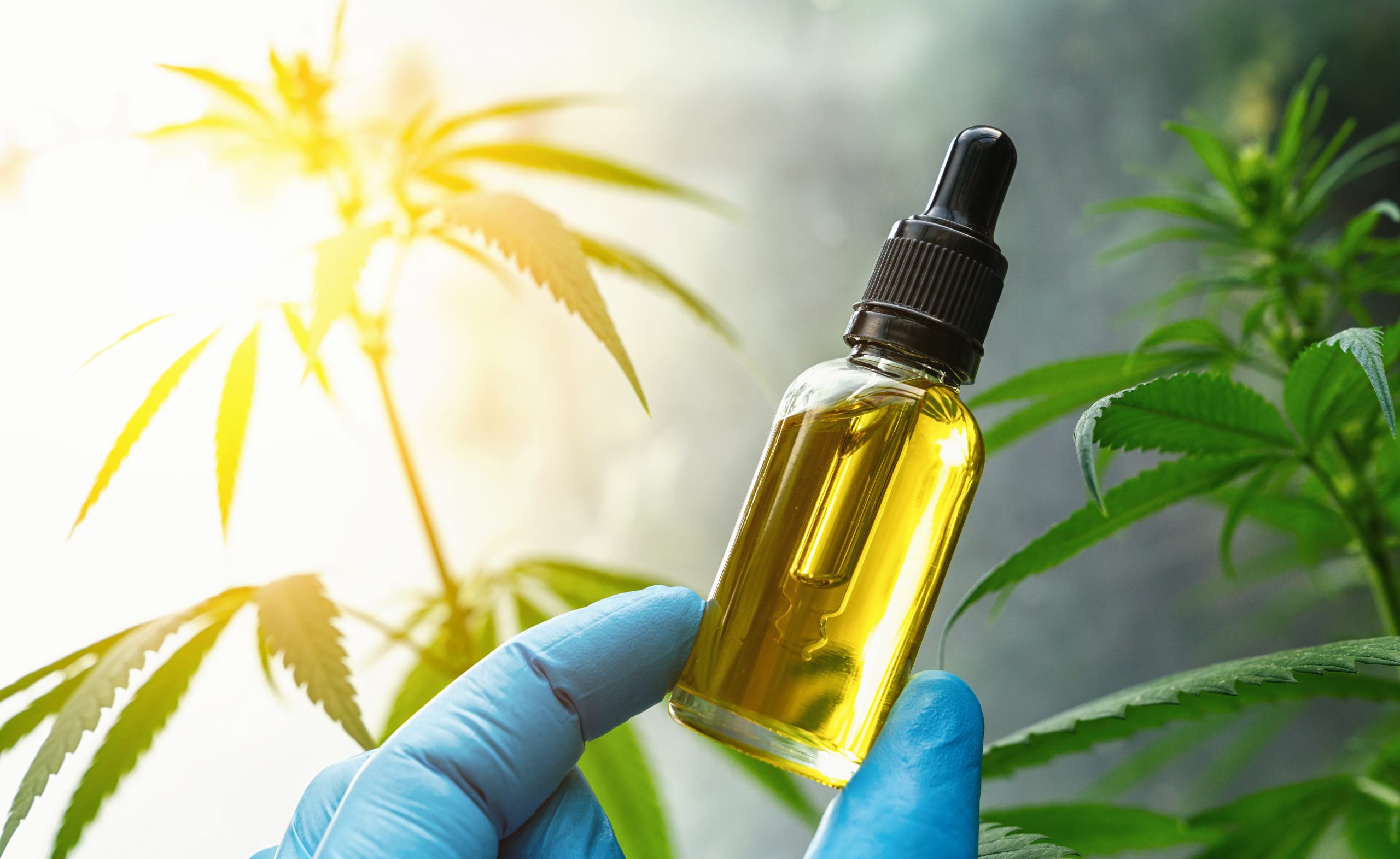 Can Kids Use CBD Oil Safely