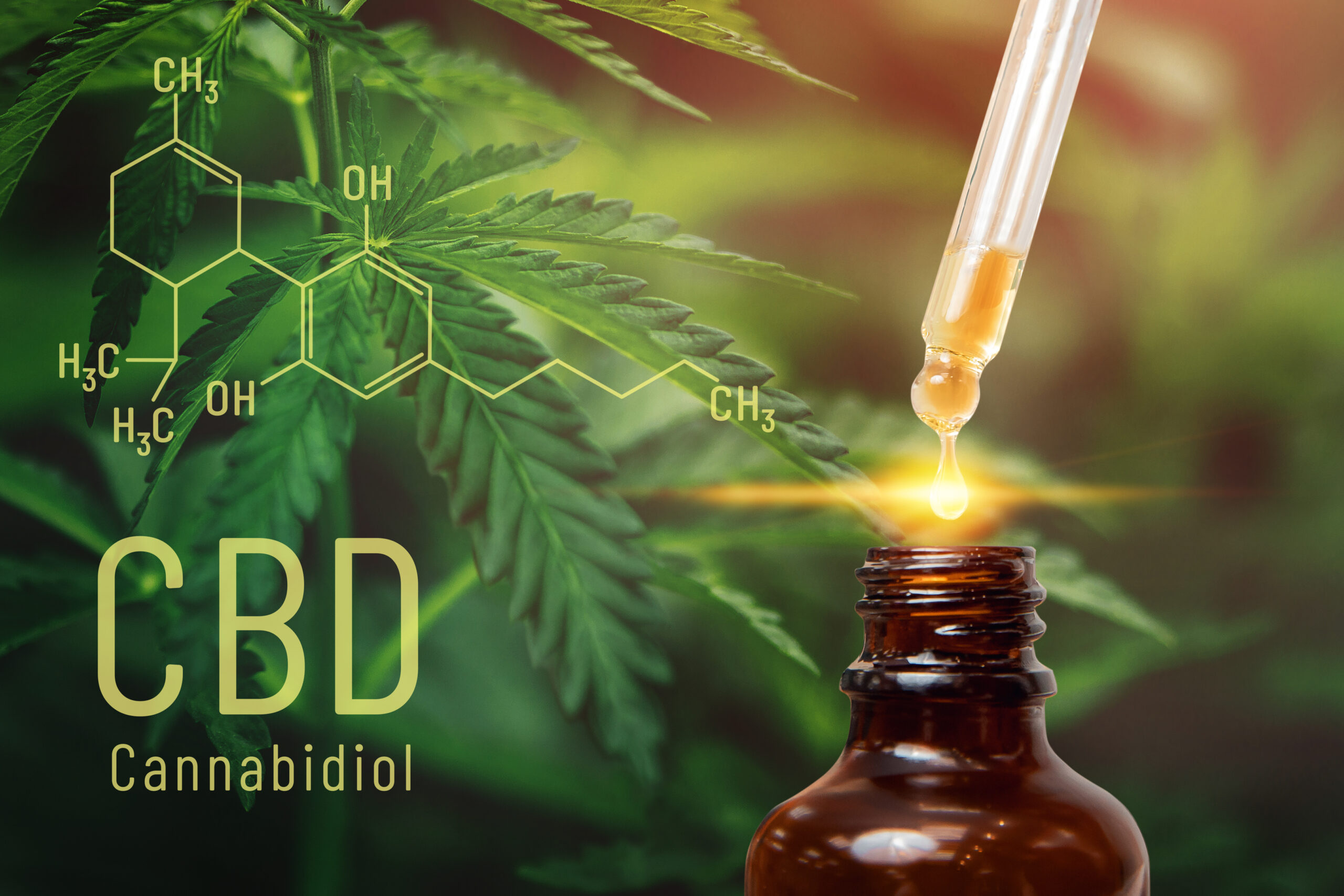 Can You Overdose On CBD Oil? Why Not + Potential CBD Side Effects